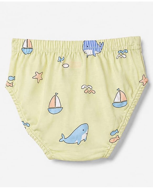 Babyhug 100% Cotton Knit Striped & Sea Life & Nautical Theme Printed Briefs Pack Of 3 - Briefs