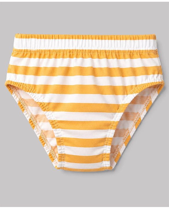 Babyhug 100% Cotton Single Jersey Knit Striped Briefs With Animal Print Pack of 3 - Multicolor