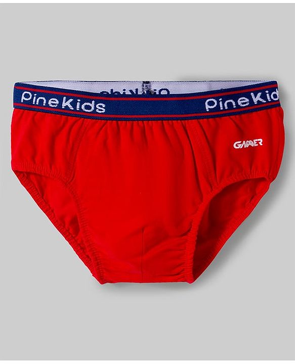 Pine Kids Cotton Elastane Knit Printed Briefs Pack of 3 - Multicolor