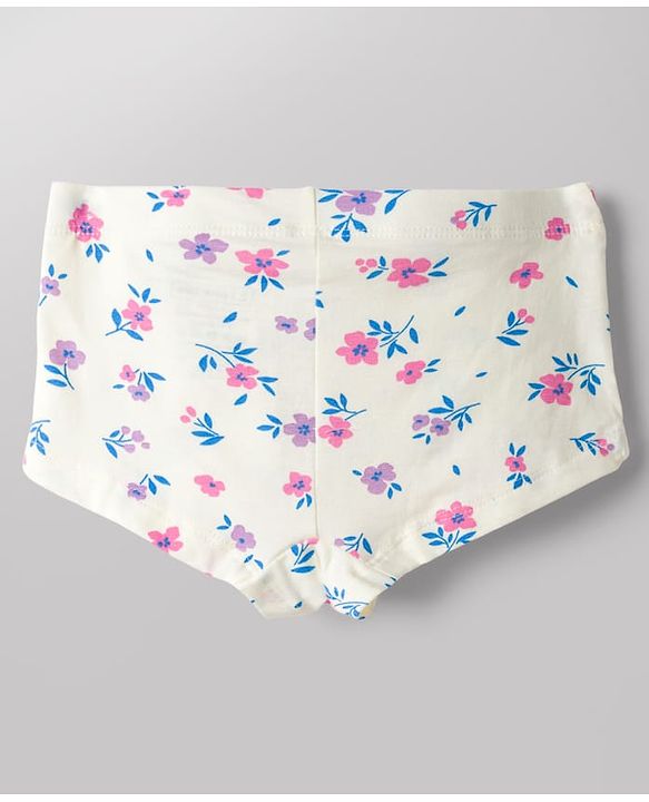 Pine Kids Cotton Lycra Knit Striped & Floral Printed Panties Pack of 3 (Color May Vary)
