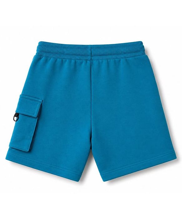 Babyhug Terry Knit Mid Thigh Shorts with Text Print - Blue