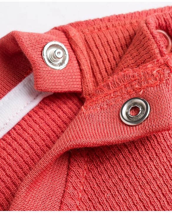 Babyhug Cotton Knit T-Shirt Half Sleeves Structured with Graphics Multi Color 6-9 Months