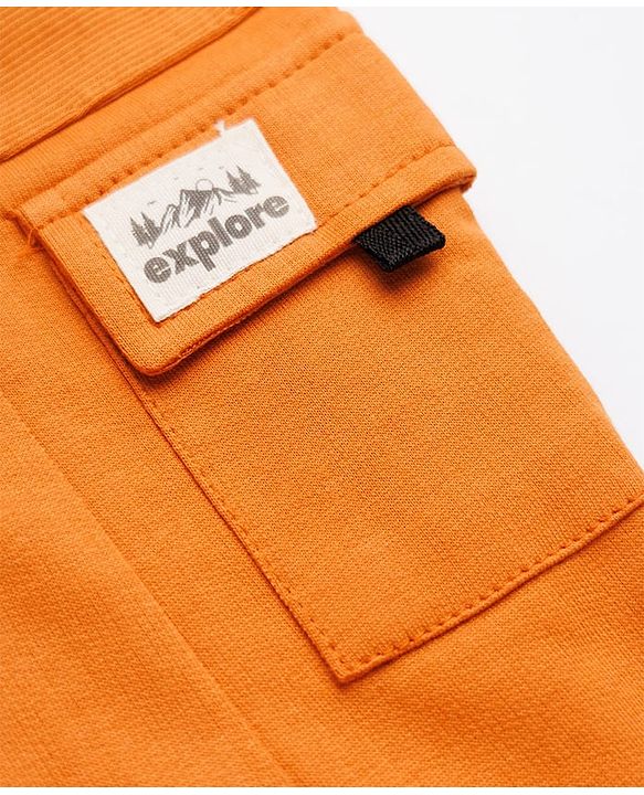 Babyhug Cotton Terry Full Length Knit Track Pant with Ribbed Waist and Explore Patch in Rust Orange
