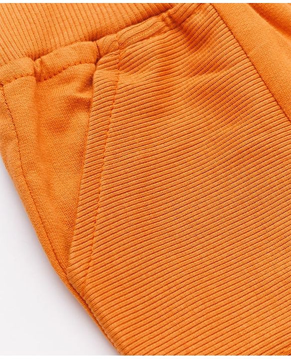 Babyhug Cotton Terry Full Length Knit Track Pant with Ribbed Waist and Explore Patch in Rust Orange