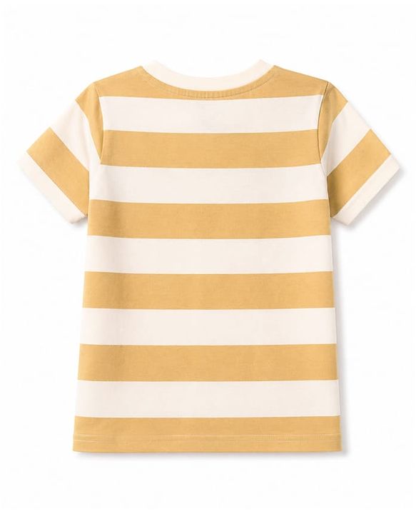 Babyhug 100% Cotton Knit Half Sleeves Striped & Text Printed Henley Neck T-Shirt - Khaki