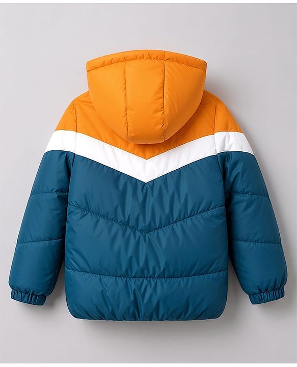 Pine Kids Woven Full Sleeves Hooded Padded Jacket with Colour Block Design - Blue