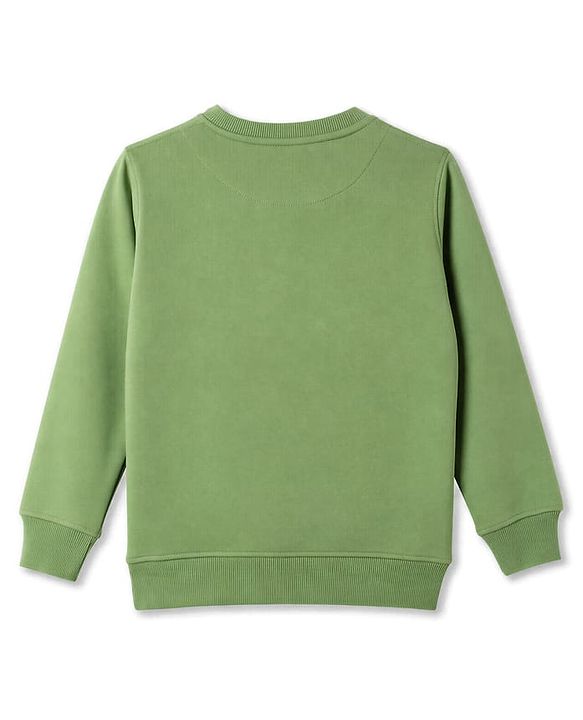 Pine Kids Cotton Knit Sweatshirt with Full Sleeves and Tiger Print - Green