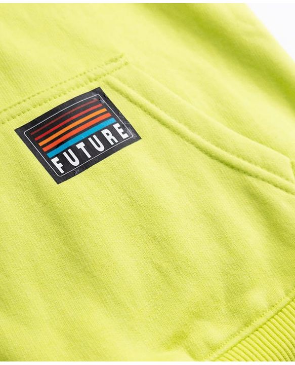 Pine Kids Cotton Knit Sweatshirt with Full Sleeves and Future Print in Green for 4-5 Years