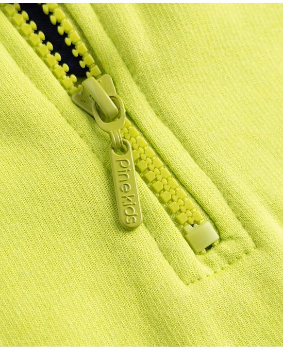 Pine Kids Cotton Knit Sweatshirt with Full Sleeves and Future Print in Green for 4-5 Years