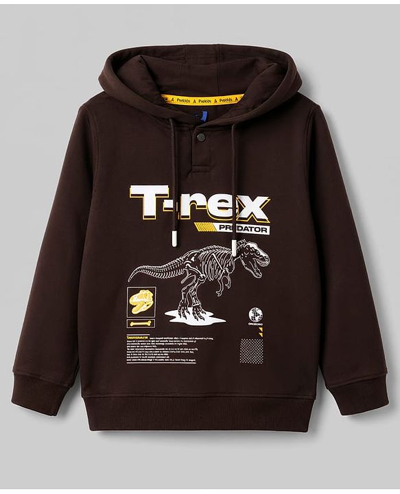 Pine Kids Cotton Knit Hooded Sweatshirt T-Rex Print Brown 4-5 Years