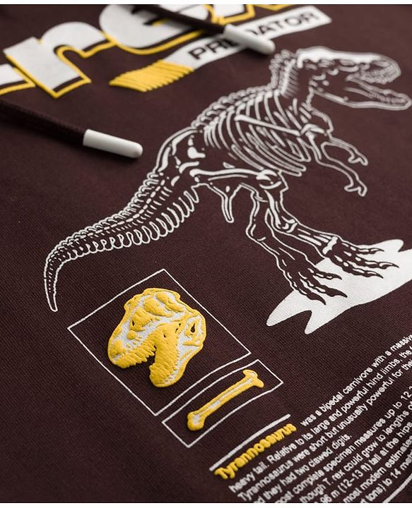 Pine Kids Cotton Knit Hooded Sweatshirt T-Rex Print Brown 4-5 Years