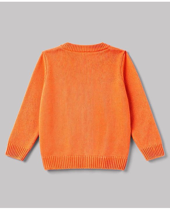 Babyhug Knit Full Sleeves Floral Embroidered Sweater Set - Orange