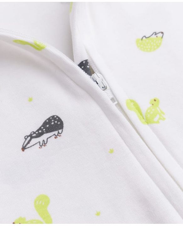 Babyhug 100% Cotton Interlock Knit Full Sleeves Striped Romper with Dino Print Pack Of 2 - Neon Green & White