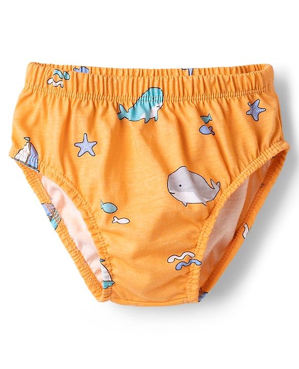 Babyhug 100% Cotton Knit Striped & Sea Life Printed Briefs Pack Of 3 - Multicolor