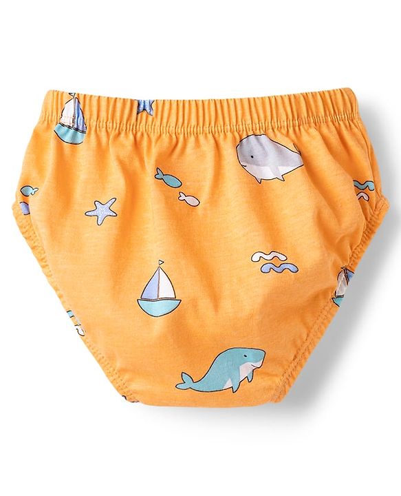 Babyhug 100% Cotton Knit Striped & Sea Life Printed Briefs Pack Of 3 - Multicolor