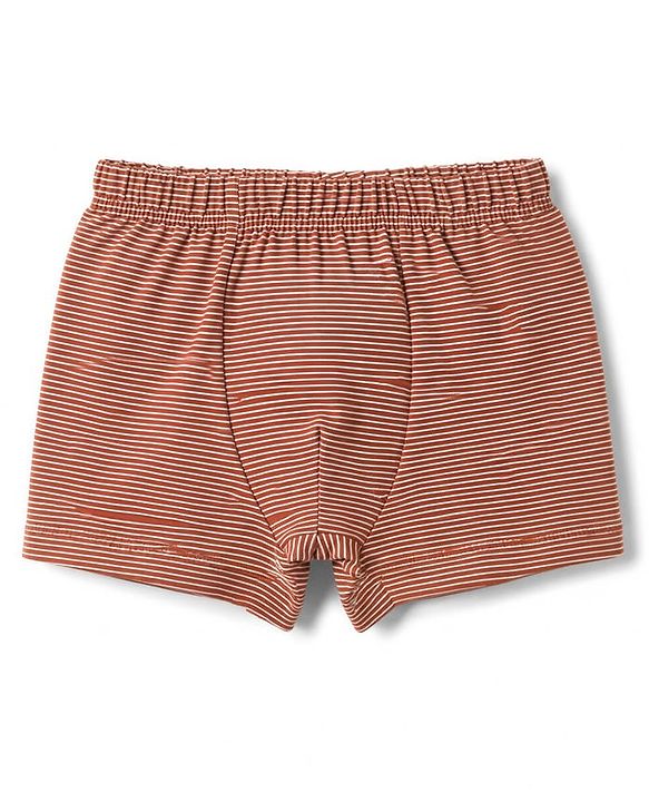 Babyhug 100% Cotton Single Jersey Knit Striped & Animals Printed Trunks Pack of 3 -Olive & Cream