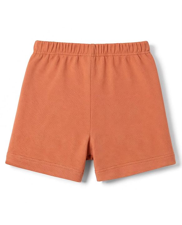 Babyhug 100% Cotton Knit Solid Briefs Pack Of 3 - Navy Blue Olive Green & Rust Orange