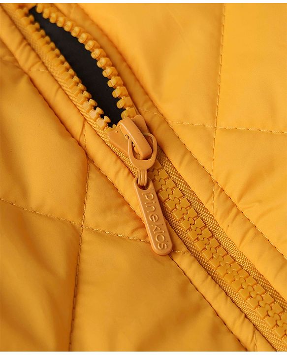 Pine Kids Woven Jacket with Full Sleeves in Golden for 4-5 Years