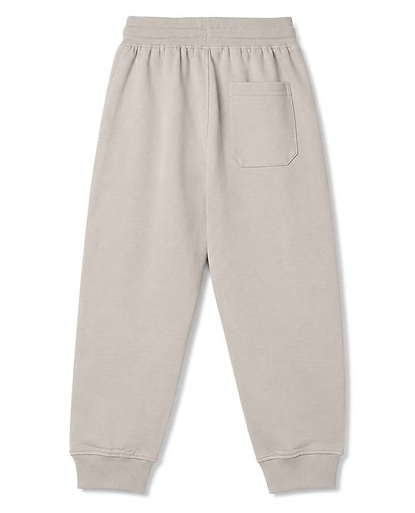 Pine Kids Knit Full Length Text Printed Lounge Pant - Grey