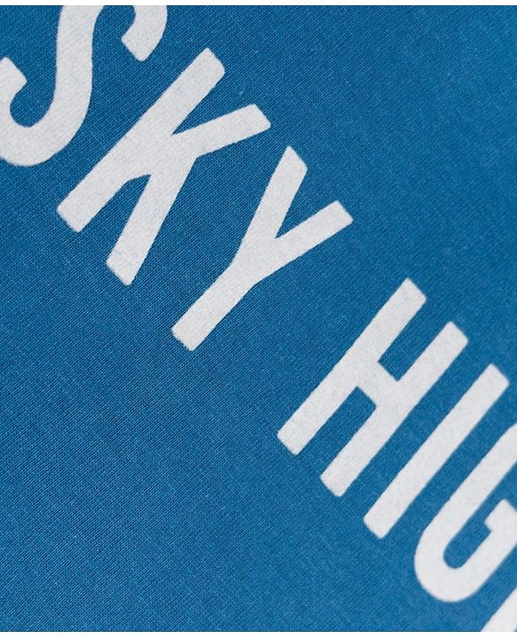 Pine Kids Cotton Knit Full Sleeves T-Shirt with Sky High City Print - Blue