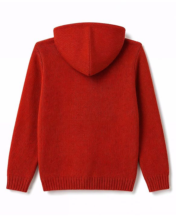 Pine Kids Knit Full Sleeves Solid Colour Hooded Front Open Sweater With Cable Knit Design - Rust Orange