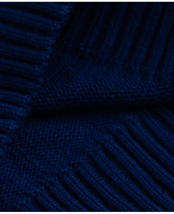 Pine Kids Knit Full Sleeves Pullovers With Tropical Design - Navy Blue
