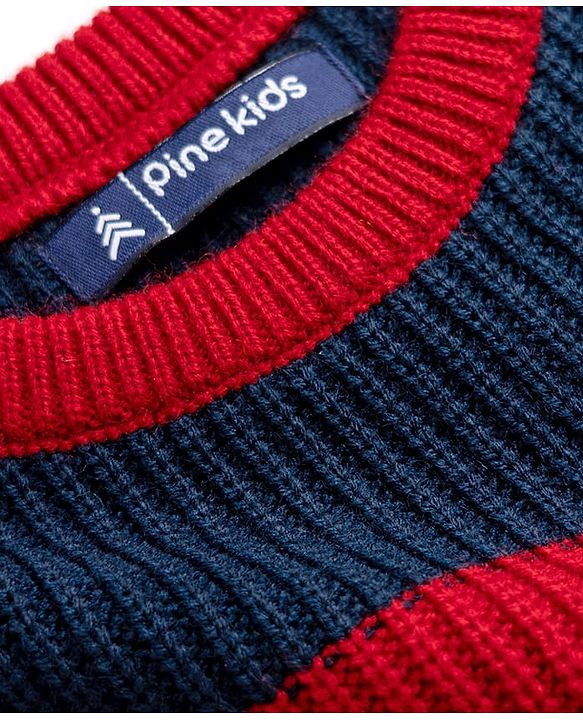Pine Kids Knit Full Sleeves Striped Pullover Sweater - Navy Blue