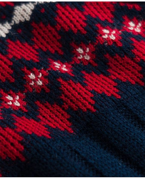 Pine Kids Knit Full Sleeves Pullover Sweater With Design - Navy Blue