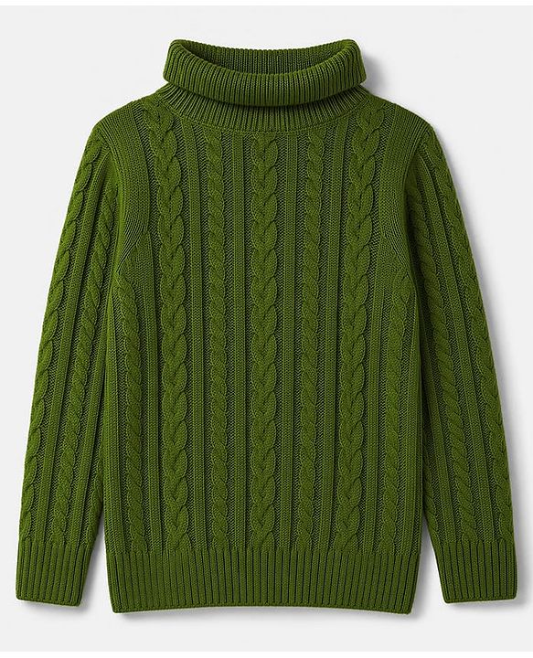 Pine Kids Knit Full Sleeves Pullover Sweater With Cable Knit Design - Green