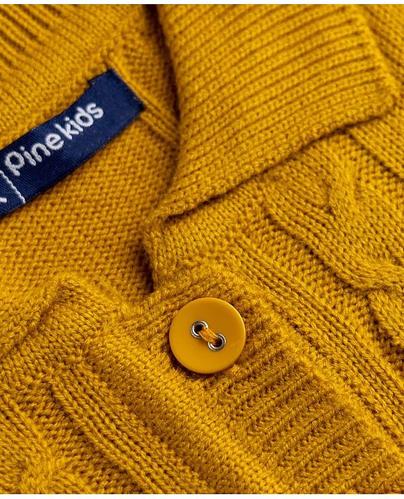 Pine Kids Knit Full Sleeves Woolen Dress With Cable Knit - Mustard