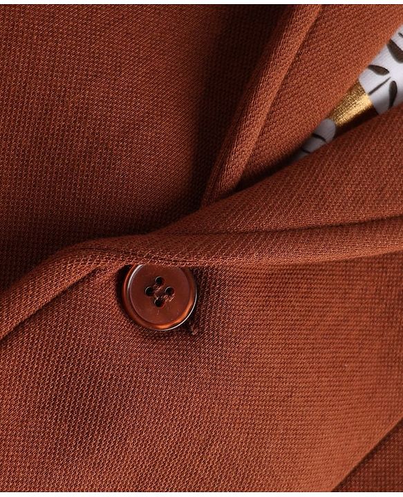 Pine Kids Cotton Mix Knit Full Sleeves Blazer & Lion Printed T-Shirt - Brown