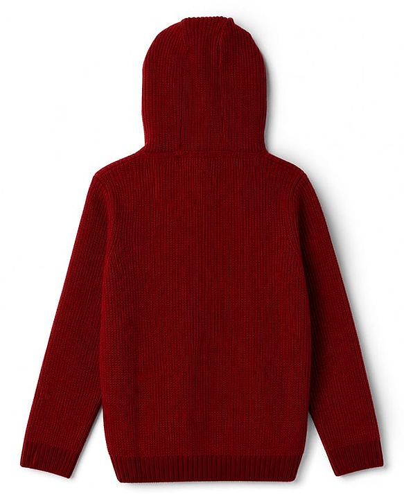 Pine Kids Knit Full Sleeves Hooded Sweaters With Numeric Text Embroidery - Red