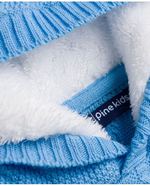 Pine Kids Knit Full Sleeves Striped Hooded Sweater With Cable Knit - Light Blue