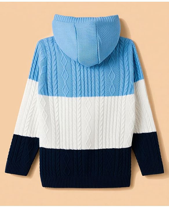 Pine Kids Knit Full Sleeves Striped Hooded Sweater With Cable Knit - Light Blue