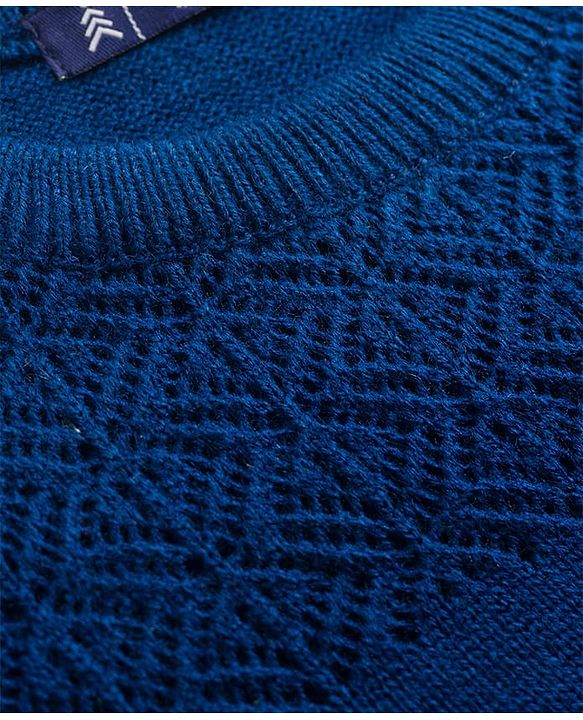Pine Kids Knit Full Sleeves Pullover with Floral Embroidery - Navy