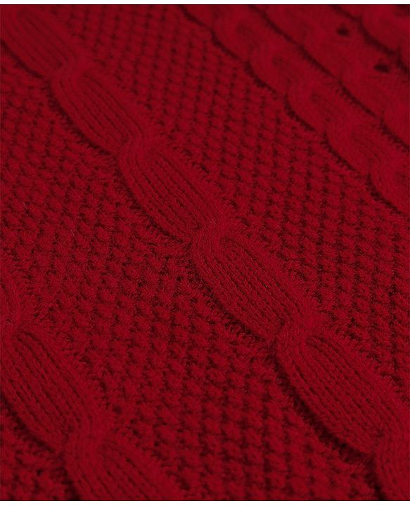 Pine Kids Knit Full Sleeves Polo Collar Solid Sweater Set with Cable Knit Design - Dark Red