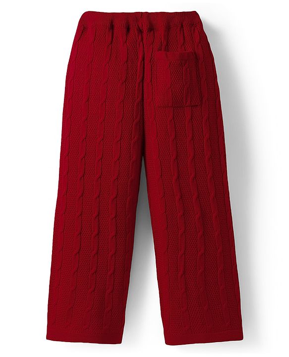 Pine Kids Knit Full Sleeves Polo Collar Solid Sweater Set with Cable Knit Design - Dark Red