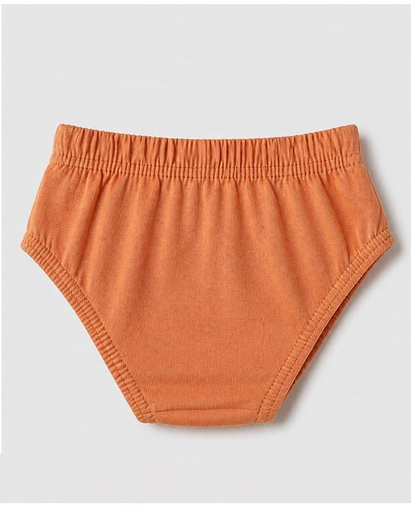 Babyhug 100% Cotton Single Jersey Knit Briefs with Elephant & Striped Giraffe Print Pack of 3 in Brown Cream & Blue