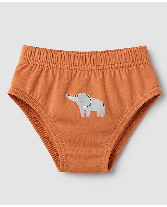 Babyhug 100% Cotton Single Jersey Knit Briefs with Elephant & Striped Giraffe Print Pack of 3 in Brown Cream & Blue