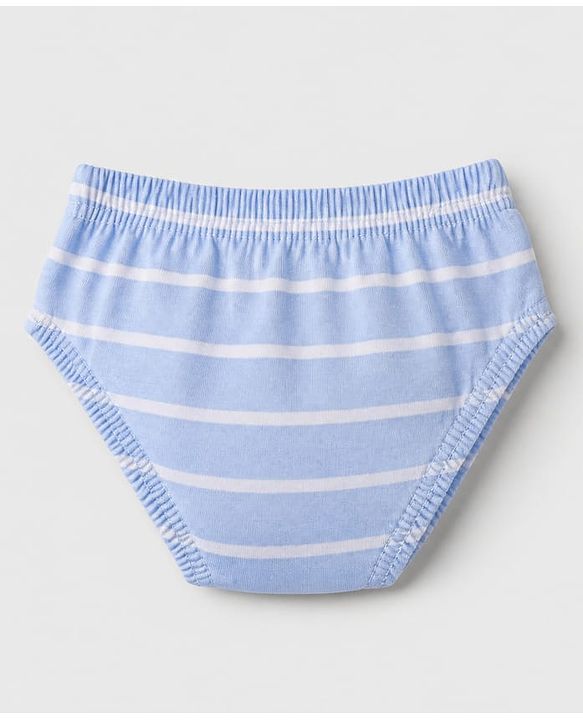 Babyhug 100% Cotton Single Jersey Knit Briefs with Elephant & Striped Giraffe Print Pack of 3 in Brown Cream & Blue