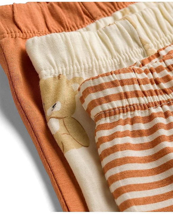 Babyhug 100% Cotton Single Jersey Knit Antibacterial Striped Trunks With Teddy Print Pack of 3 - OffWhite, Orange & Rust Orange