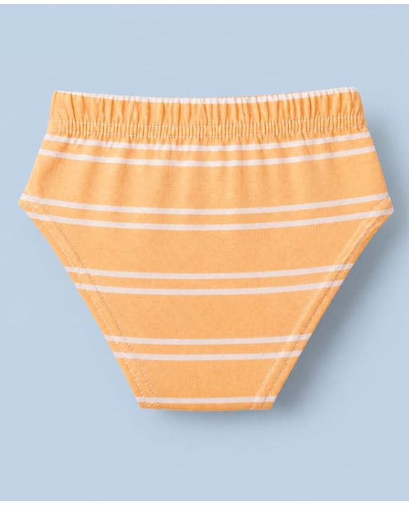 Babyhug 100% Cotton Single Jersey Knit Antibacterial Briefs with Stripes & Dinosaur Print Pack of 3 - Yellow White & Olive Green