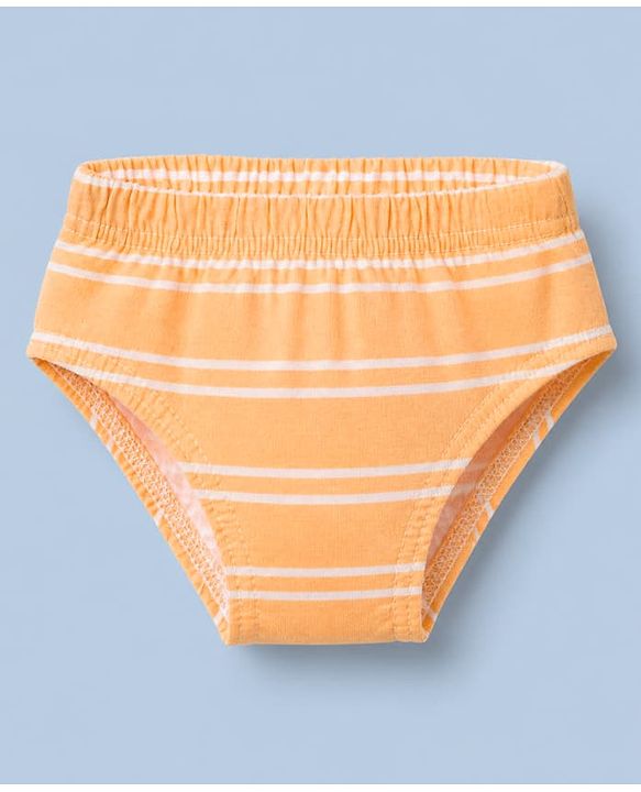 Babyhug 100% Cotton Single Jersey Knit Antibacterial Briefs with Stripes & Dinosaur Print Pack of 3 - Yellow White & Olive Green
