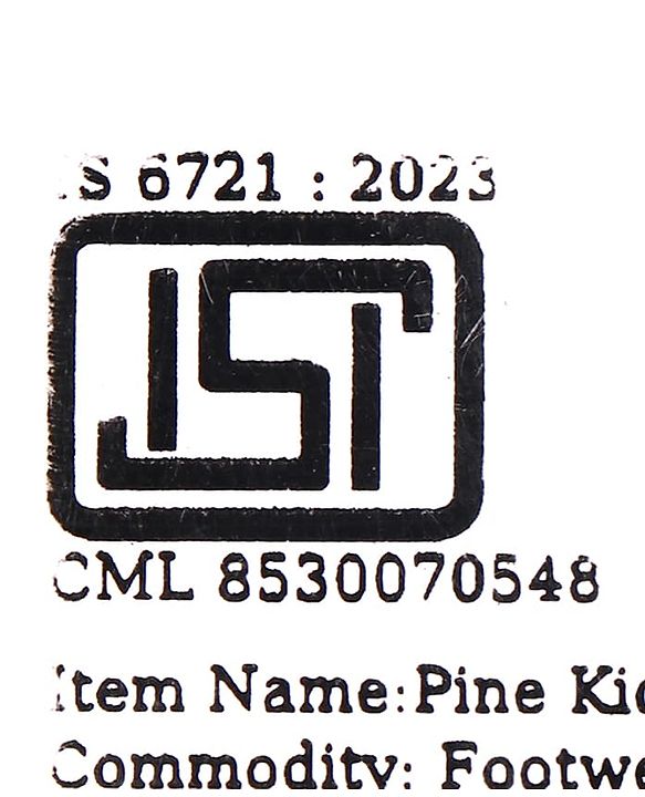 Pine Kids Slip On Striped Flip Flops With Text Print - Green