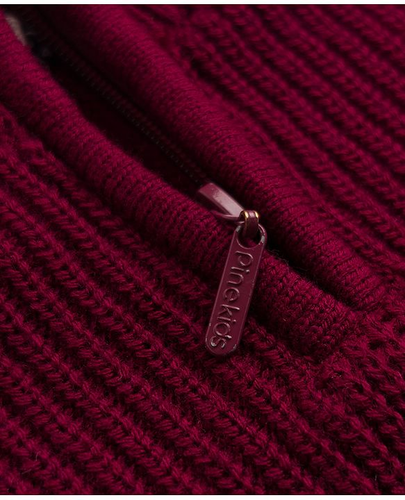 Pine Kids Knit Full Sleeves Solid Pullover Sweater - Wine