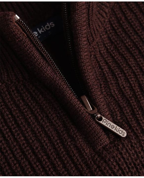 Pine Kids Knit Full Sleeves Solid Colour Pullover - Brown