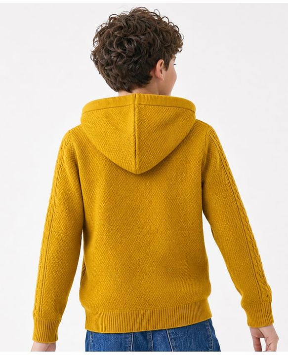 Pine Kids Cable Knit Front Open Sweater with Full Sleeves in Mustard