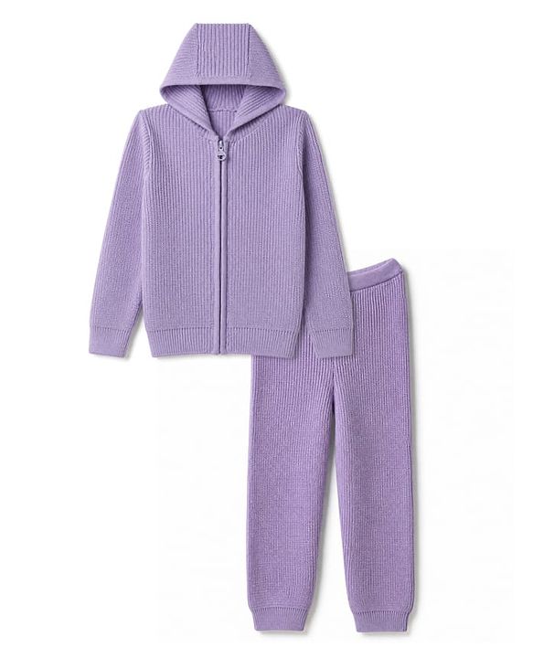Pine Kids Knit Full Sleeves Solid Sweater Set - Purple