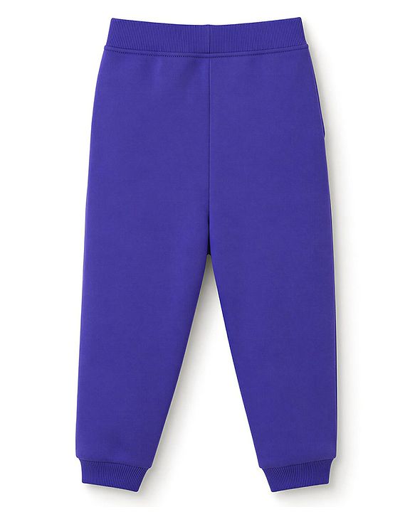 Babyhug 100% Cotton Terry Knit Full Sleeves Text Printed T-Shirt & Lounge Pant Set - Purple