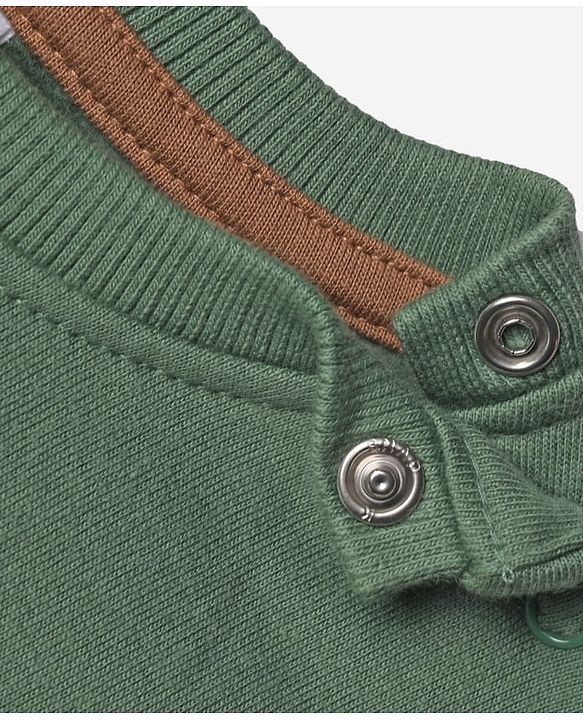 Babyhug Fleece Knit Sweatshirt with Full Sleeves and Bear Patch - Green